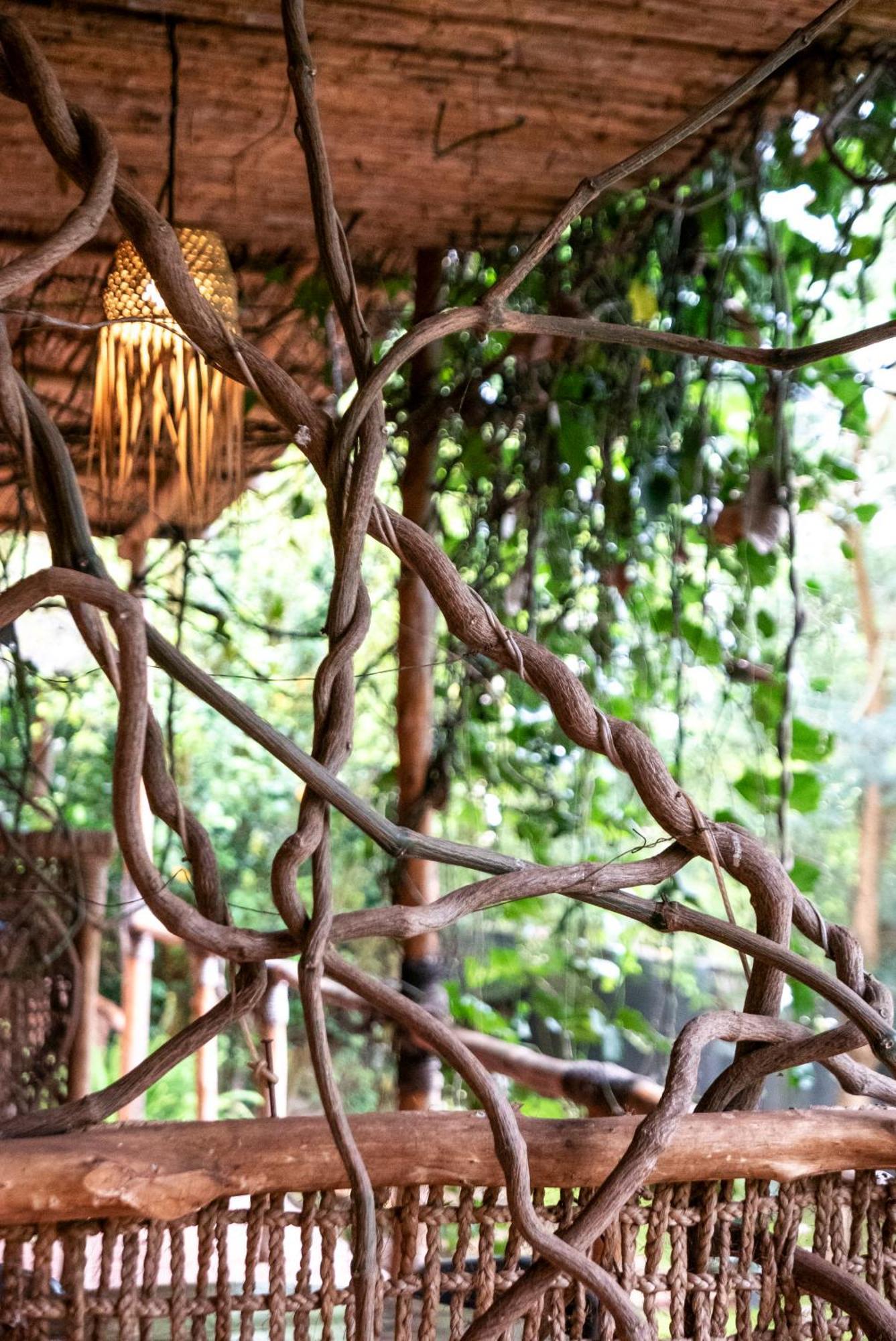 Akagera Transit Lodge Eksteriør billede