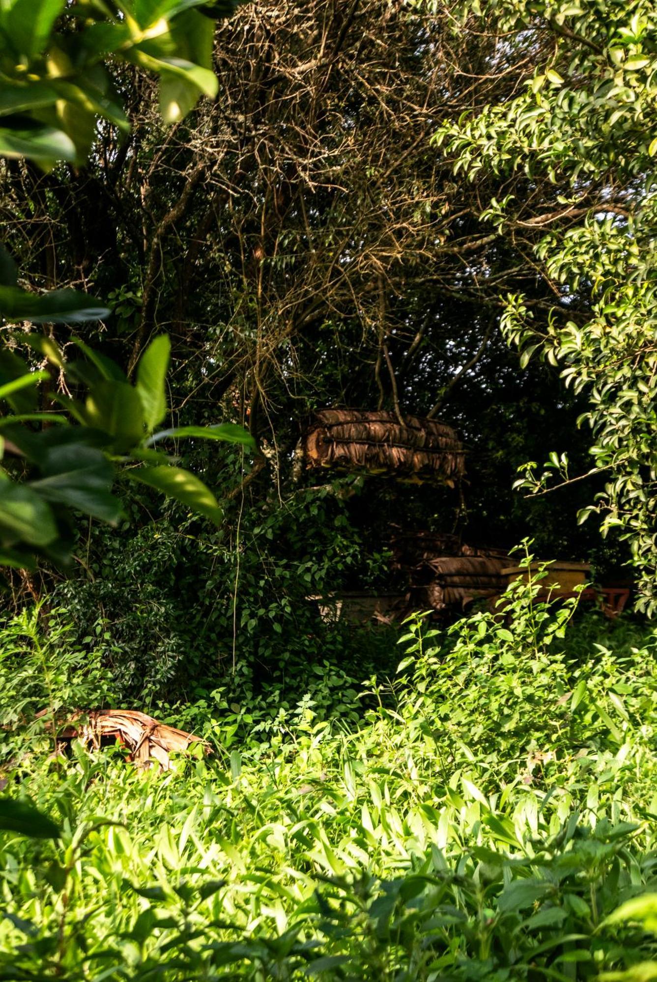 Akagera Transit Lodge Eksteriør billede